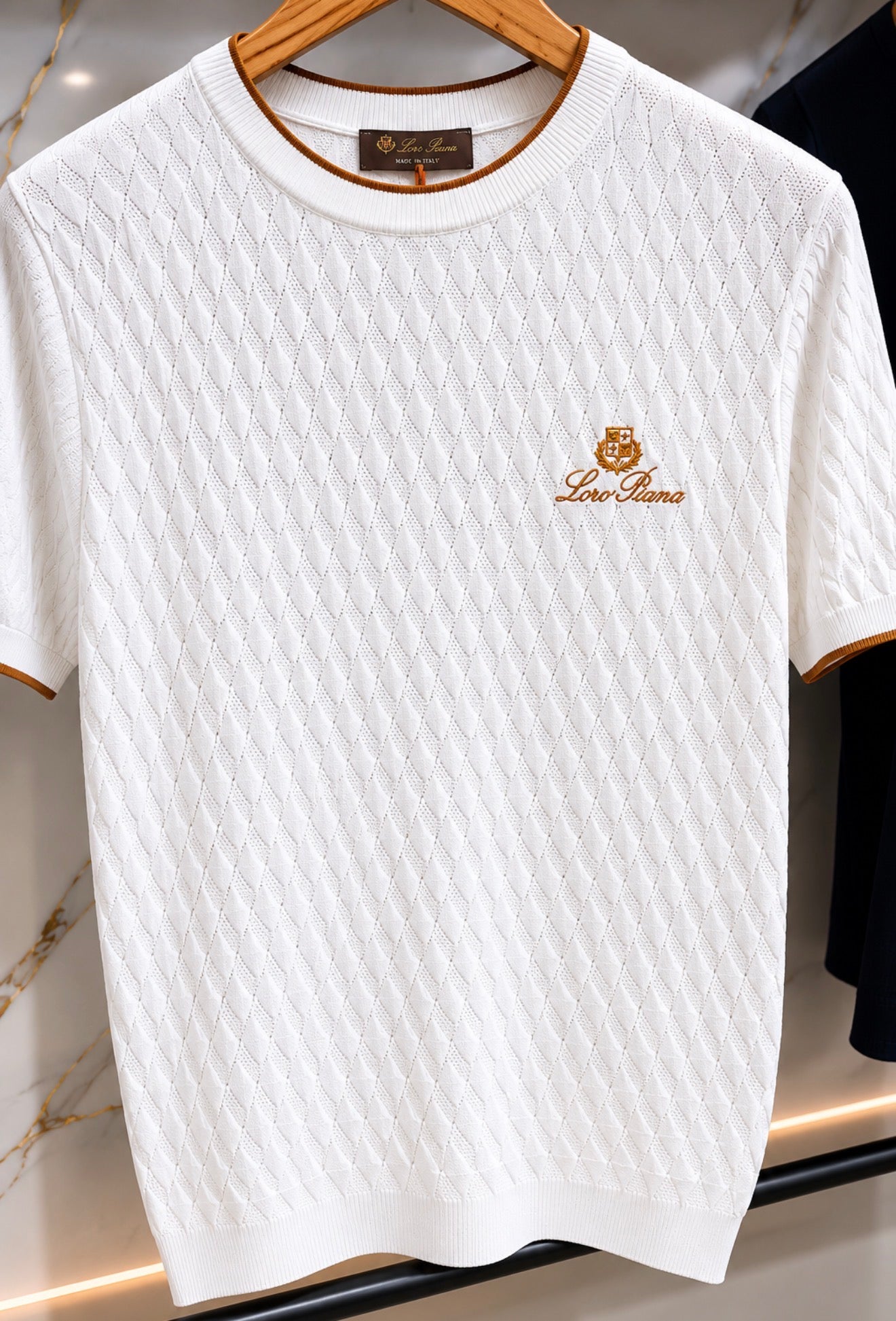 Camiseta Loro piana 0024